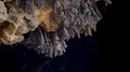 Bats swarm hanging and flying close up at bat cave wall in Indonesia HD Footage
