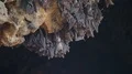 Bats swarm hanging and flying close up at bat cave wall in Indonesia HD Footage