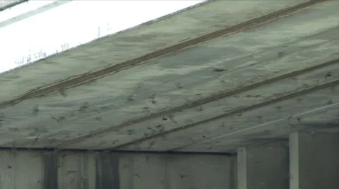 BATS FROM UNDER BRIDGE #1 - HD 库存影片 8525238