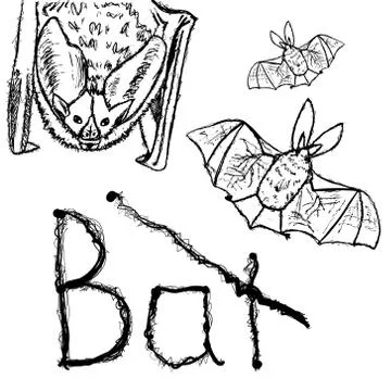Bats. Vector black silhouettes. Stock Illustration