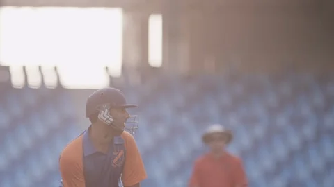 Batsman celebrating  Stock Footage 119376469