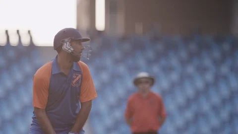 Batsman celebrating  Stock Footage 119507892