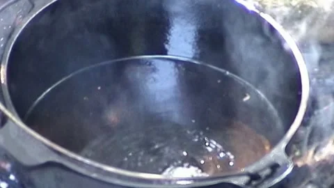 Batted Eel Stock Footage 246279861