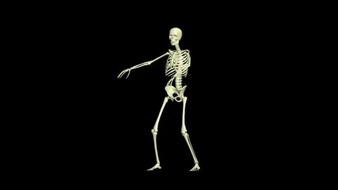 Batter On The Deck. 4 scens in 1. Skeleton 3D animation. 360 degree. Stock Footage 302085048