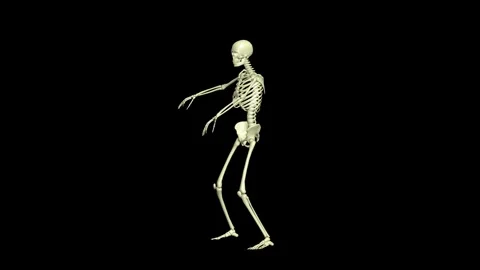 Batter On Deck. 4 scens in 1. Skeleton 3D animation. 360 degree. Stock Footage 302085076