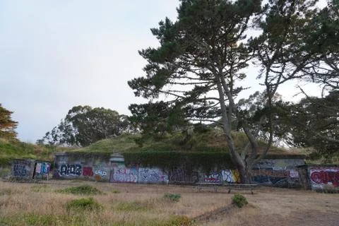 Battery and Tree 스톡 사진