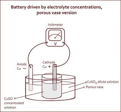 Battery driven by electrolyte concentrations porous vase version Stock Illustration