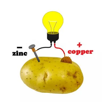 Battery making experiment. Illustrazione stock
