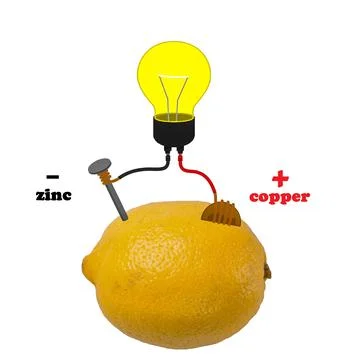 Battery making experiment. Lemon Illustrazione stock