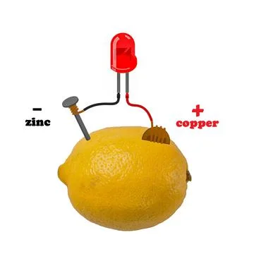 Battery making experiment. Lemon Illustrazione stock