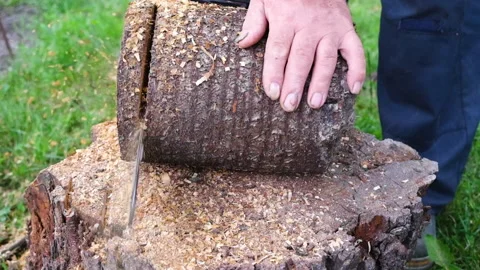 Battery Powered Chainsaw cuts wood. Cutting through wood with chainsaw in slow Stock Footage 158114853