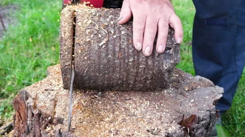 Battery Powered Cordless Chainsaw cuts wood. Cutting through wood with chainsaw Stock Footage 158580011