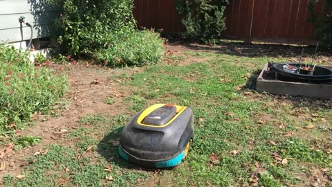 Battery-Powered Robot Lawn Mower Cutting Grass Lawn.mp4 Video stock 140556487