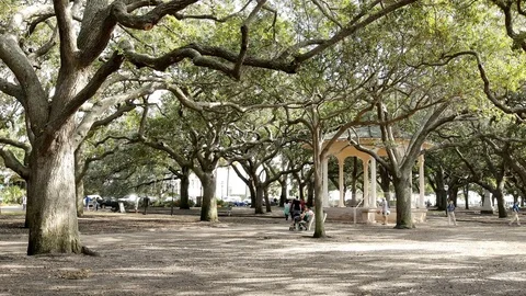 Batteryest Stock Footage 72436910