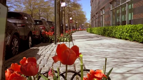 BatteryPark street Video stock 143102723