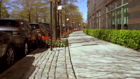 BatteryPark street1 Video stock 143102728