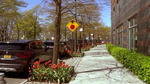 BatteryPark street2 Video stock 143102735