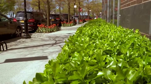 BatteryPark street3 Video stock 143102743