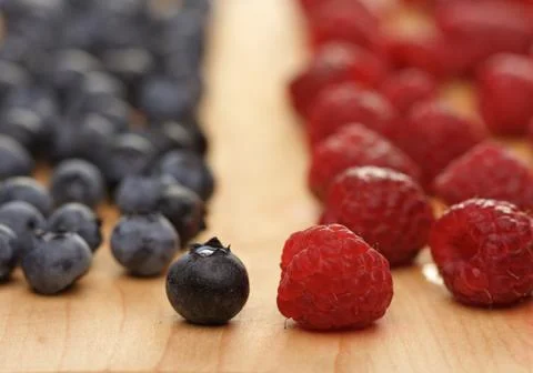 Battle of the Berries Stock Photos