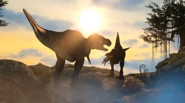 A battle between two prehistoric dinosaur Stock Footage 86127445