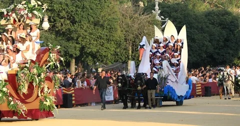 Battle of the Flowers 19 Video stock 80194593