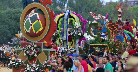 Battle of the Flowers 6 Stock Footage 80551620