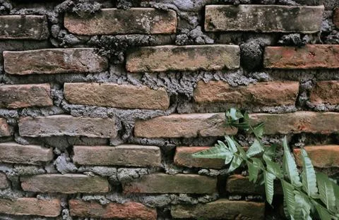 Batu bata wall Stock Photos