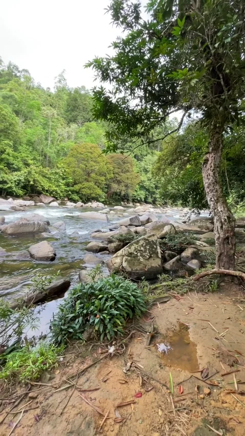 Batu jato view Stock Footage 244714929