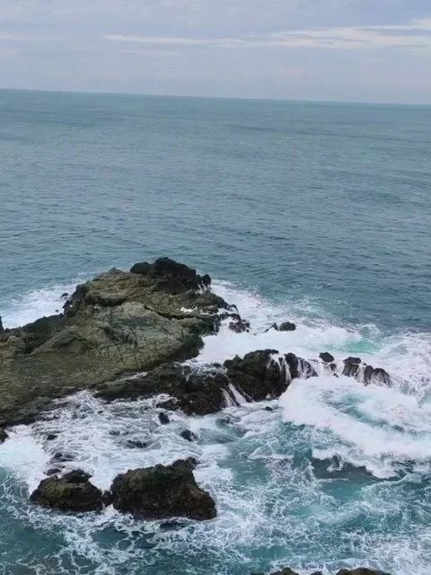 Batu karang Stock Footage 234967820