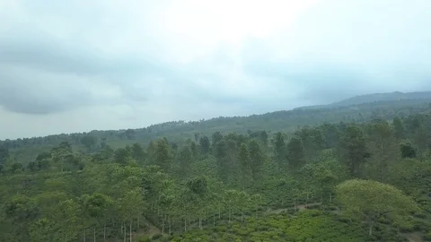 BATU MOUNTAIN 動画素材 114211421