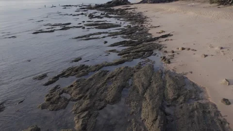 Batu Pelanduk Video stock 259256085