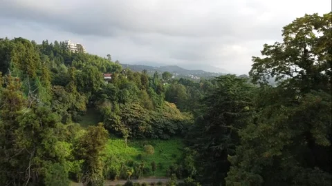 Batumi botanical garden Stock Footage 253383825