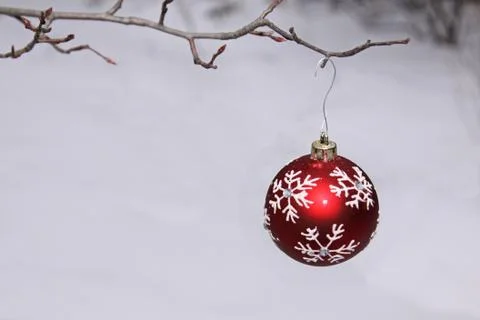 Bauble on a branch Stock Photos