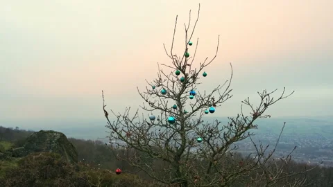 Baubles hang on a wild tree overlooking a misty valley on a dramatic winter day Stock-Footage 131236161