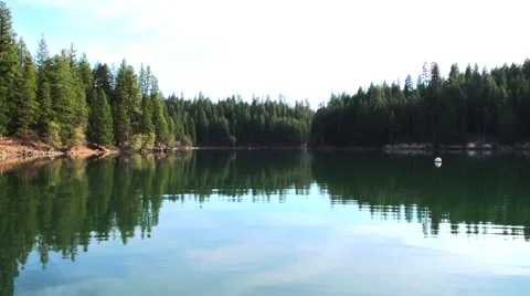 Baum Lake Forest Reflections Stock Footage 46731992