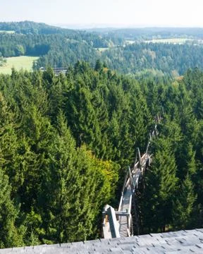 Baumkronenweg Stock Photos