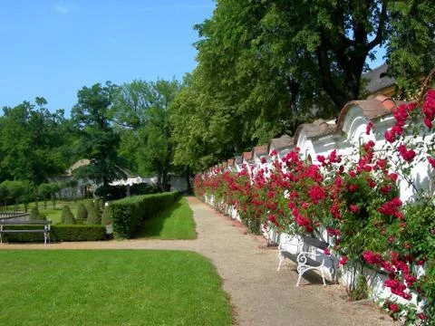 Bautiful park Foto stock