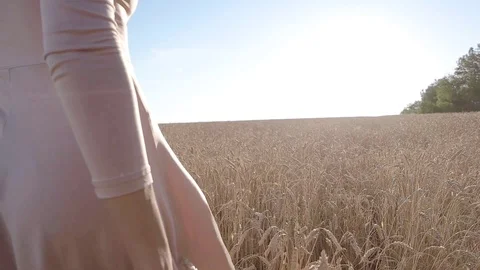 Bautifull lady caressing wheat field walking at sunset. Shot from behind. Stock Footage 88718880