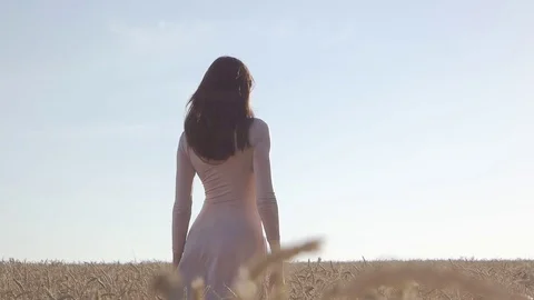 Bautifull lady caressing wheat field walking at sunset. Shot from behind. Stock Footage 88719009