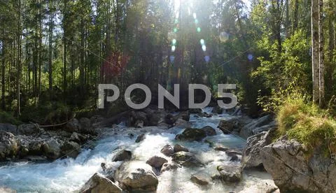 Bavaria Berchtesgaden National Park Ramsau Nature learning trail river Ache Stock Photos