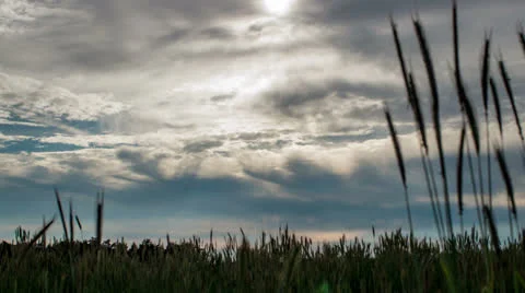 Bavaria Germany wheat field time lapse track right-2 Stock-Footage 25509281