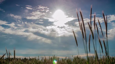 Bavaria Germany wheat field time lapse crane-2 Stock-Footage 25509291