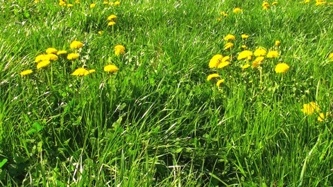 Bavaria Mountains Stock Footage 85685652