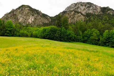 Bavarian Alpine landscape. Stock Photos
