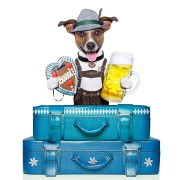 Bavarian dog Stock-Fotos