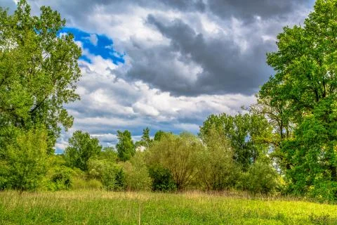 Bavarian forest Stock Photos
