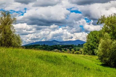 Bavarian forest Stock Photos