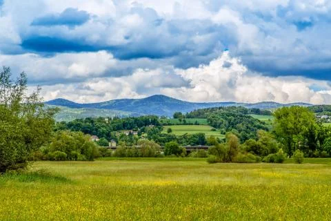 Bavarian Forest Stock Photos