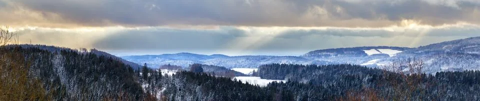 Bavarian Forest Stock Photos