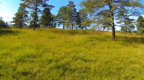 Bavarian landscape Video stock 32969136